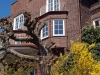 Haus in Blankenese