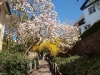 Treppenviertel in Blankenese