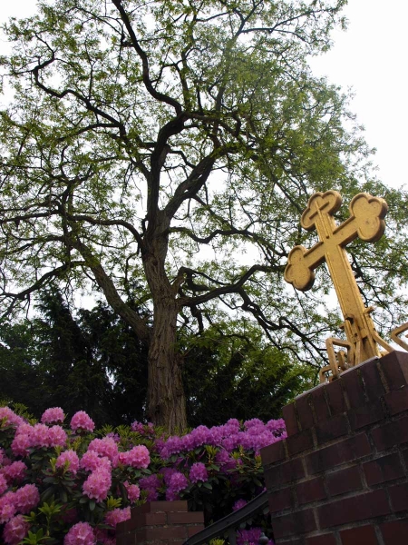 Bramfeld Friedhof