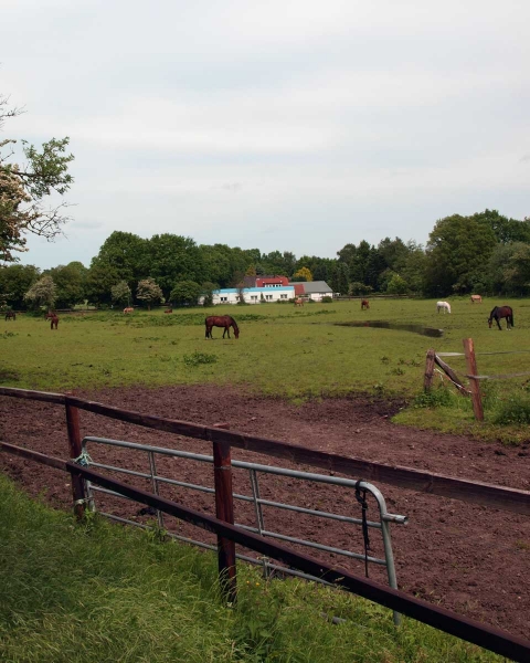 bramfeld-weide