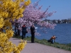 alster-fruehling-hamburg-fotographen