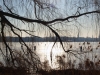 alster-winter-hamburg-ufer