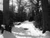 Friedhof Ohlsdorf im Winter