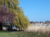 alster-entspannung
