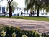alster-fruehling